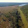 Pesquisadores encontram espécies até então desconhecidas em um dos territórios menos explorados da África