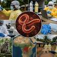 Ebola volta aos holofotes após casos suspeitos no Brasil; entenda os riscos da doença