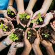 Dia Mundial do Meio Ambiente: 30 atitudes simples para reduzir o impacto ambiental