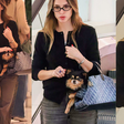 Queria ser ele! Cachorro de Isabelle Drummond, de 'Coração Acelerado', passeia em bolsa Dior de quase R$ 20 mil; sandália de grife também chama atenção