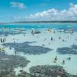 Caribe brasileiro: conheça 5 destinos do Nordeste com águas cristalinas e paisagens paradisíacas