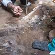 Esqueleto de equino é encontrado durante escavações em Pompeia
