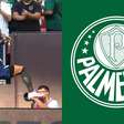 Palmeiras: Cria da Academia decide, Brasil vence Egito e Endrick chega voando para a Copa do Mundo