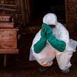 Como os profissionais de saúde estão tratando o Ebola e se mantendo seguros