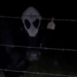 Veio de óvni? Vaca alienígena viraliza nos Estados Unidos