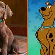 Netflix revela aparência do Scoob-Doo de carne e osso em nova série da plataforma