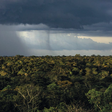 Mudanças climáticas estão tornando regime de chuvas na Amazônia mais sensível ao desmatamento