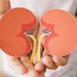 Infecção renal: veja os sintomas da doença que merecem atenção