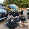 PRF e Polícia Civil apreendem 233 quilos de maconha e prendem três paraguaios em Santa Maria