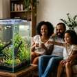 Pensando em montar um aquário? Conheça 9 peixes indicados para iniciantes