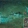 Cientistas descobrem cemitério de baleias no Oceano Índico a mais de 7 mil metros de profundidade
