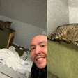 Gato resgatado nos trilhos do Metrô de SP é adotado e ganha nome em homenagem à estação