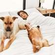 Dormir com pets: benefícios e cuidados para o bem-estar