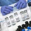Entenda a listeriose: infecção alimentar grave que pode afetar gestantes, idosos e pessoas com baixa imunidade