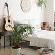 Dormir com plantas no quarto faz mal? A ciência explica por que esse mito não faz sentido
