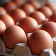 Receitas fáceis e rápidas com ovos para salvar suas refeições