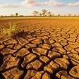 El Niño avança no Nordeste e acende alerta para seca em áreas agrícolas