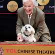 Cachorrinho de Glenn Close rouba a cena em homenagem histórica à atriz em Los Angeles