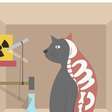 Experimento de Oxford leva o "gato de Schrödinger" a um novo nível e intriga cientistas