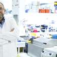 Cientistas franceses criam anticorpo que combate a resistência do câncer de pâncreas à quimioterapia