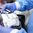 Junho Vermelho: veja requisitos e saiba o que é preciso para doar sangue