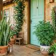 Plantas na entrada de casa: conheça 3 espécies que barram a inveja e atraem a prosperidade