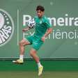 Palmeiras: a pedido da Argentina, Giay segue com a delegação na Copa do Mundo
