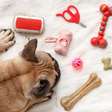 Pet entediado? 5 brinquedos interativos que estimulam a mente e ajudam a reduzir a ansiedade