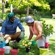 Como cuidar das plantas no inverno: 5 dicas essenciais
