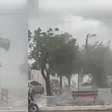 Microexplosão atmosférica derruba árvores e causa prejuízos no Piauí