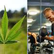 Essa proteína de cannabis pode ser a opção mais saudável para ganhar massa muscular