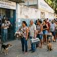 Ribeirão Preto faz mutirão presencial para castração de pets; veja calendário