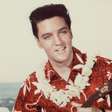 Os 10 discos surpreendentes da coleção particular de Elvis Presley, em Graceland