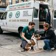 Porto Alegre promove atendimento veterinário gratuito no bairro Arquipélago