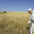 Vaticano avança em projeto para produzir própria energia em Roma
