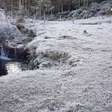 Vai nevar? Frente polar e ciclone bomba fazem temperaturas despencarem no RS