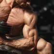 Treinamento de hipertrofia: como o músculo cresce com o estímulo do treino