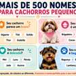 O que considerar antes de escolher o nome do seu cachorro? Veja mais de 500 opções