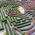 Maior jardim-labirinto do mundo: os desafios do Dream Maze