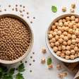 Lentilha ou grão-de-bico: qual tem mais proteína e fibras e como incluí-los na dieta