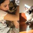 Tata Werneck lamenta morte de Chico, seu gato, e abre o coração: 'Partiu cheio de amor'