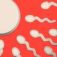Como a infertilidade masculina ainda não recebe a atenção necessária