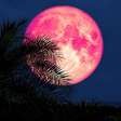 Lua de Morango: o simbolismo por trás da Lua Cheia de junho
