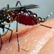 Duas crianças morrem com suspeita de dengue grave na Paraíba
