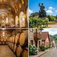 Cidade ideal para quem deseja provar a tradicional culinária italiana e excelentes vinhos faz parte das principais rotas de vinícolas da Serra Gaúcha