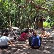 Juntos cultivando futuros: ajude a Escola Cajueiro do Mangue