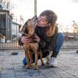 A realidade da adoção: pesquisa inédita revela como idade, cor e porte definem o destino de animais em abrigos no Brasil