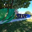 Suzano (SUZB3) sobe após conclusão de joint venture com Kimberly-Clark