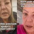 Dona de ONG de proteção animal é presa por suspeita de maus-tratos; gatos foram encontrados em freezer