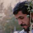 Abbas Kiarostami ganha retrospectiva no IMS Paulista com filmes restaurados e curtas raros